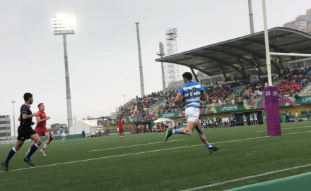 pumas2.jpg
