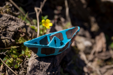 bote3.jpg