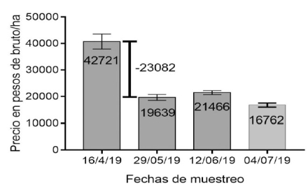 grafico2.jpg
