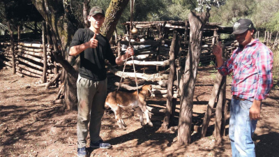 El Chaco busca sumar a más productores al desafío de producir carnes caprinas y ovinas