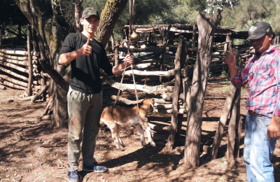 El Chaco busca sumar a más productores al desafío de producir carnes caprinas y ovinas