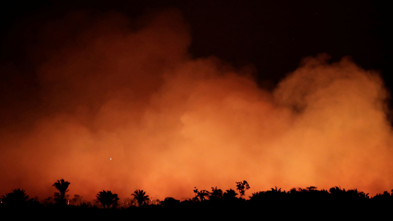 El Amazonas en llamas: las fotos más impactantes del incendio que conmueve al mundo