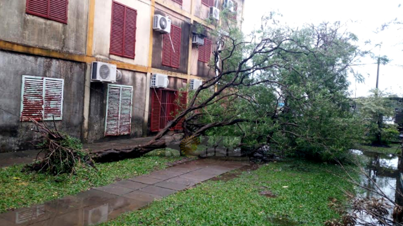Madrugada de intensas lluvias y ráfagas de viento que superaron los 70 km/hora