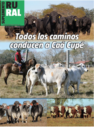 Todos los caminos conducen a Caá Cupé