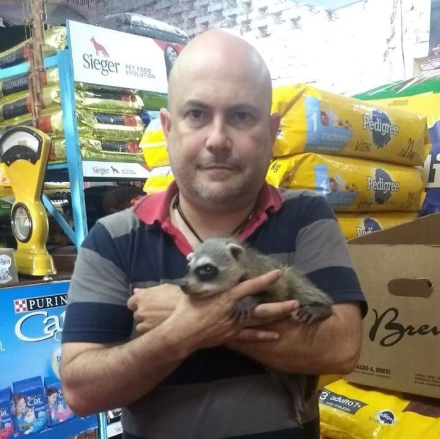 mapaches 1.jpg