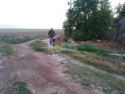 zona rural robo.jpg