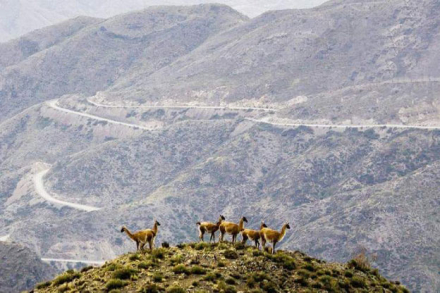 Los-Caracoles-de-Villavicen.jpg