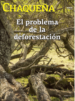 El problema de la deforestación