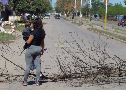 vecinos usurpadores 2.jpg
