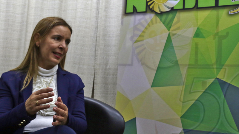 Entrevista a Ingrid Jetter, gerente regional de Vialidad Nacional