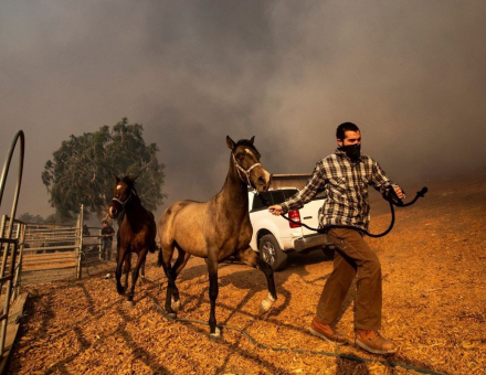 incendios califormia 1.jpg
