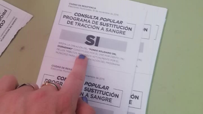 Consulta popular: contundente victoria del sí a la sustitución de la tracción a sangre
