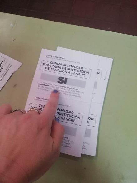 consulta popular boleta 1.jpg