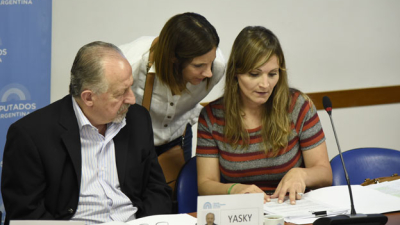 Masin impulsa una ley para fortalecer la economía social