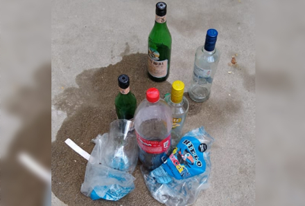 fiesta3.jpg
