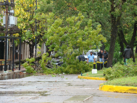 tormenta rama Rcia 4.jpg