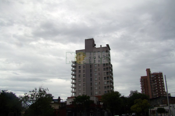 Lo que la tormenta nos dejó