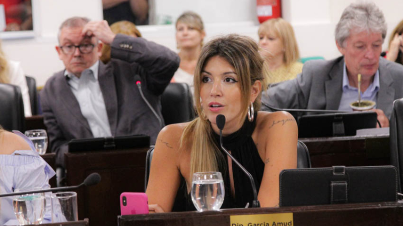 García Amud pidió licencia y será el primer tema que tratará la Comisión Legislativa