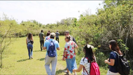 Excursión-a-la-Isla-Las-Dam.jpg