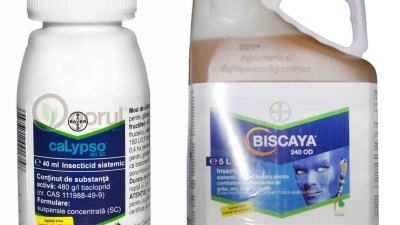 La Comisión Europea prohíbe el pesticida tiacloprid de Bayer porque daña a las abejas