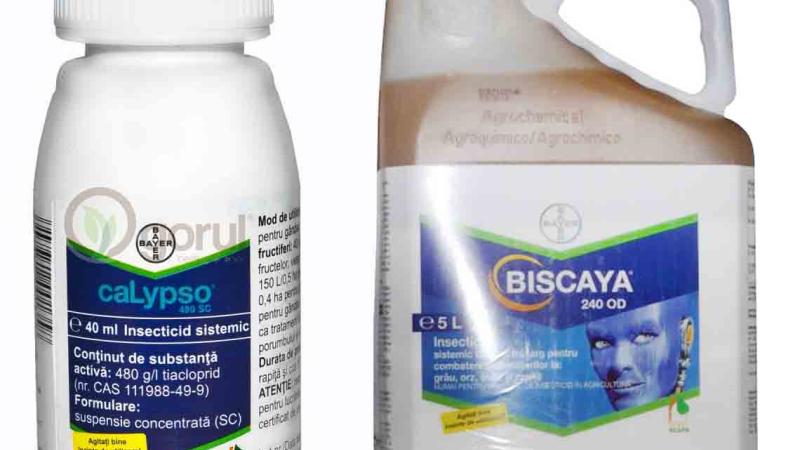 La Comisión Europea prohíbe el pesticida tiacloprid de Bayer porque daña a las abejas