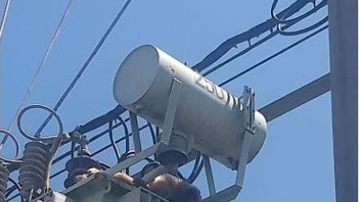 Un mono carayá murió electrocutado al trepar a un transformador en la zona Norte