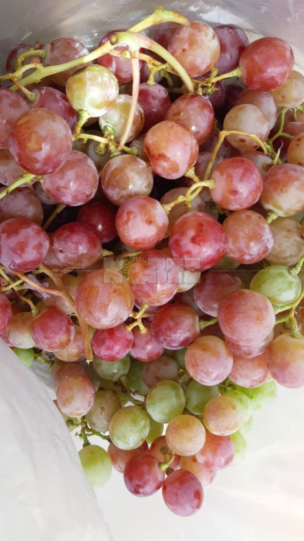 fruderpa1.jpeg