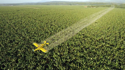 Brasil es el mayor consumidor de agrotóxicos del mundo