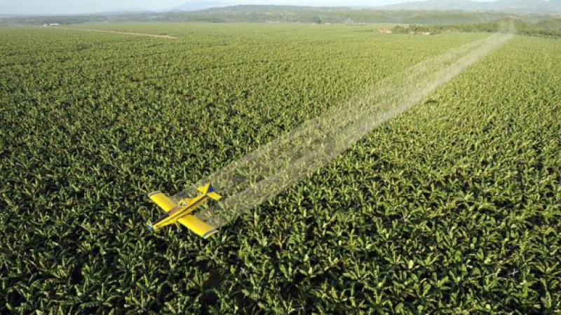 Brasil es el mayor consumidor de agrotóxicos del mundo