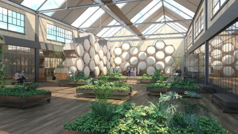 "Compost humano": la empresa que ofrece transformar a los seres queridos en abono orgánico después de muertos