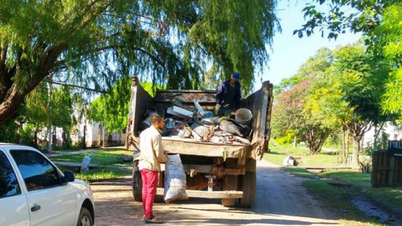 Dengue: la aparición de mosquitos intensificó la prevención en Sáenz Peña