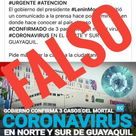 falso 2.jpg