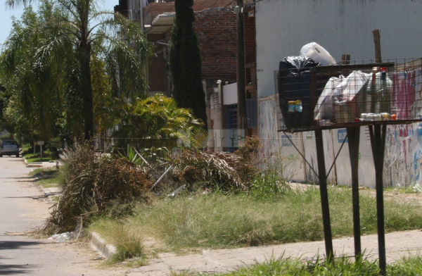 Desde la calle 15 hasta la avenida Nicolás Rojas Acosta es asombrosa la cantidad de residuos de todo tipo que invaden el espacio público.