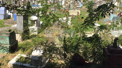 El cementerio de Resistencia, una postal del abandono total sin respuesta