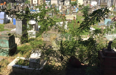 El cementerio de Resistencia, una postal del abandono total sin respuesta