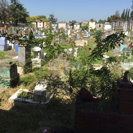 cementerio.jpg