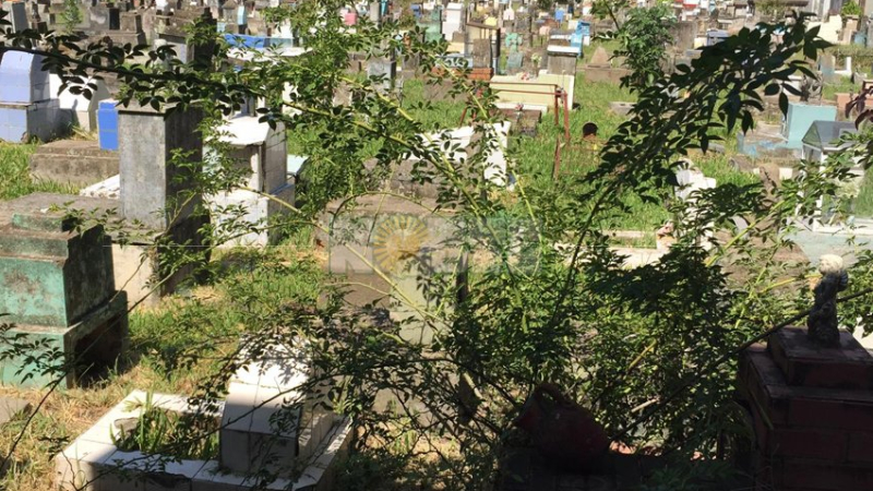 El cementerio de Resistencia, una postal del abandono total sin respuesta