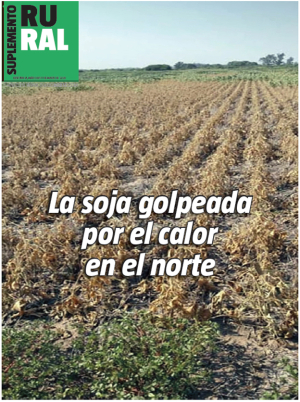 La soja golpeada por el calor en el norte