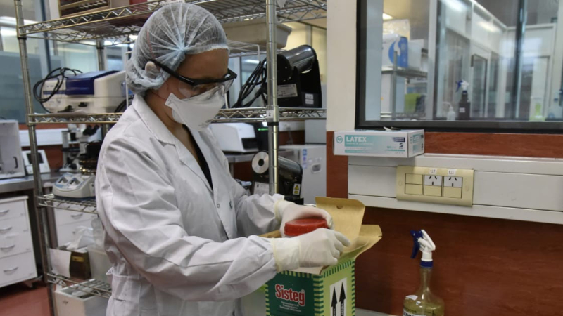 Una mujer de 64 años, sexto caso de coronavirus en el Chaco: está en terapia intensiva