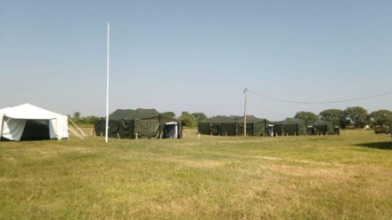 carpas.jpg