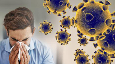 El Coronavirus (COVID-19)