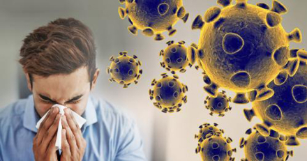 coronavirus-graphic-web-fea.jpg
