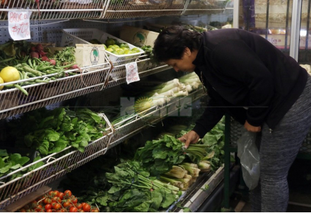 alimentos.jpg