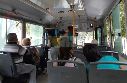 colectivos 2.jpg