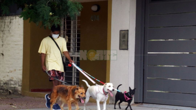 Día del Animal: 7 recomendaciones para cuidar a las mascotas durante la cuarentena