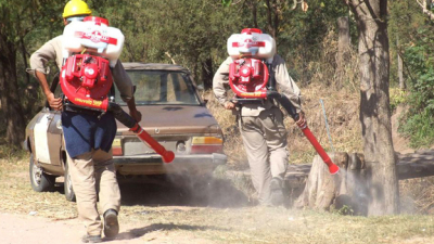 Dengue: se triplicaron los casos en los últimos 15 días en Sáenz Peña