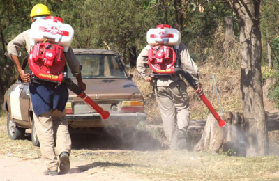 Dengue: se triplicaron los casos en los últimos 15 días en Sáenz Peña