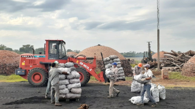 Sostienen que el aprovechamiento forestal es clave para el desarrollo en el interior
