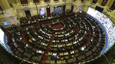 En vivo: arrancó con la segunda sesión telemática para tratar la receta digital y otros proyectos en Diputados
