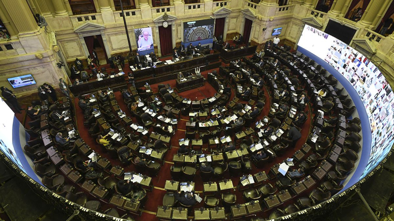 En vivo: arrancó con la segunda sesión telemática para tratar la receta digital y otros proyectos en Diputados